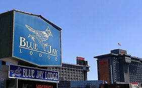 Blue Jay Lodge